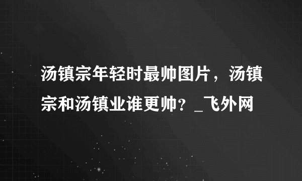 汤镇宗年轻时最帅图片，汤镇宗和汤镇业谁更帅？_飞外网