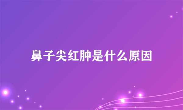 鼻子尖红肿是什么原因