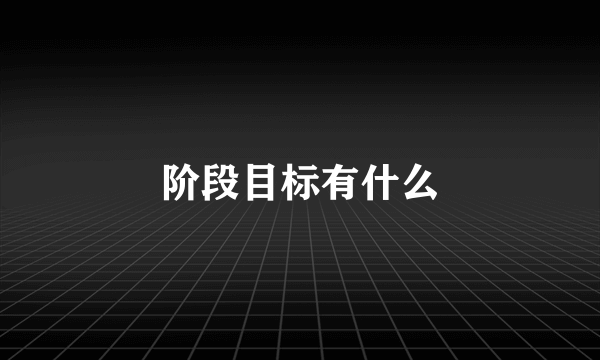 阶段目标有什么