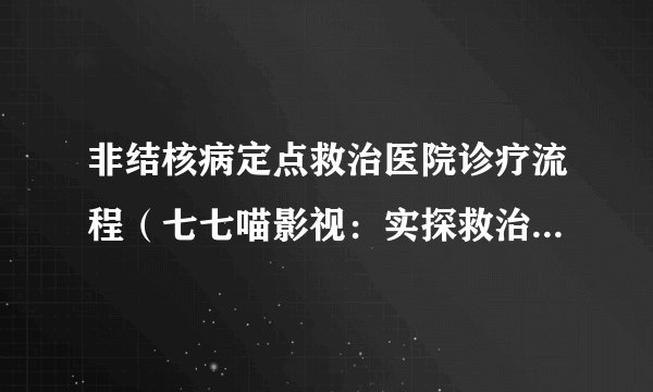 非结核病定点救治医院诊疗流程（七七喵影视：实探救治林志颖医院）