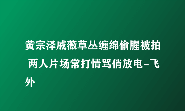 黄宗泽戚薇草丛缠绵偷腥被拍 两人片场常打情骂俏放电-飞外