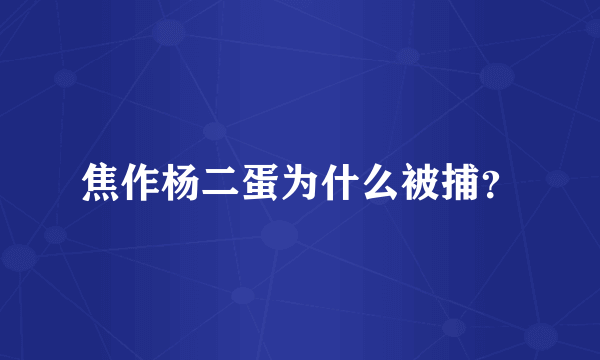 焦作杨二蛋为什么被捕？