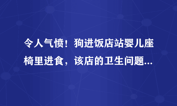 令人气愤！狗进饭店站婴儿座椅里进食，该店的卫生问题是否堪忧？