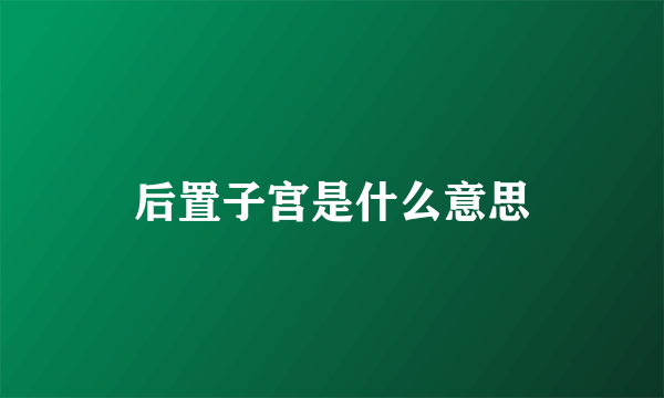 后置子宫是什么意思