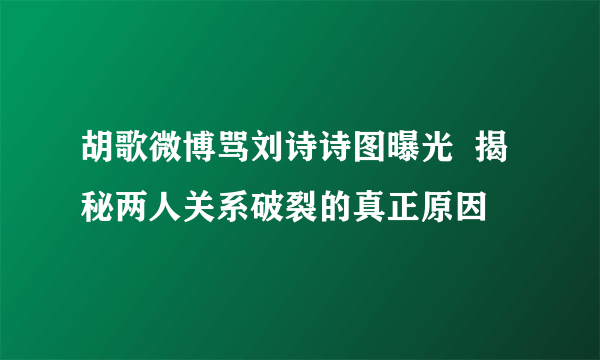 胡歌微博骂刘诗诗图曝光  揭秘两人关系破裂的真正原因