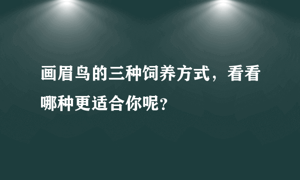 画眉鸟的三种饲养方式，看看哪种更适合你呢？