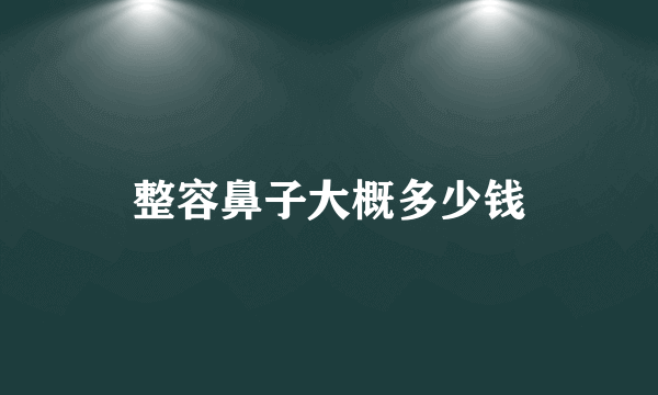 整容鼻子大概多少钱