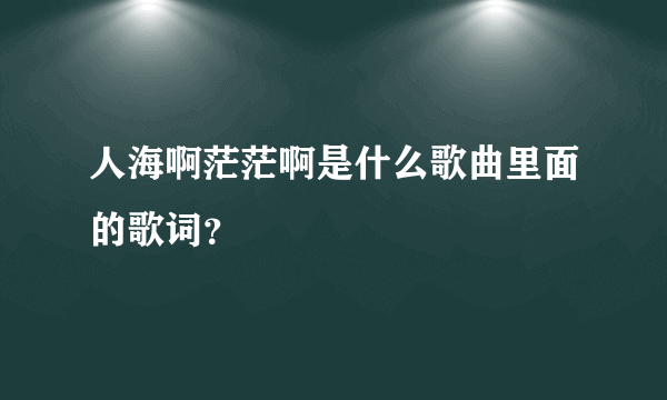 人海啊茫茫啊是什么歌曲里面的歌词？