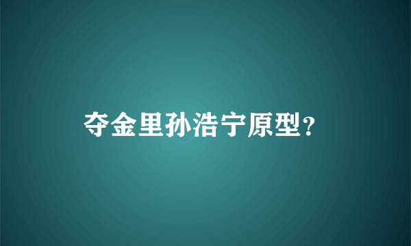 夺金里孙浩宁原型？