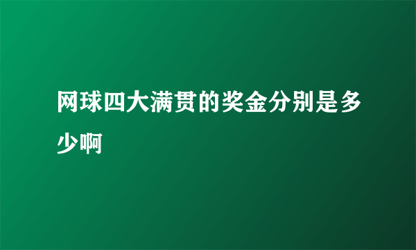 网球四大满贯的奖金分别是多少啊