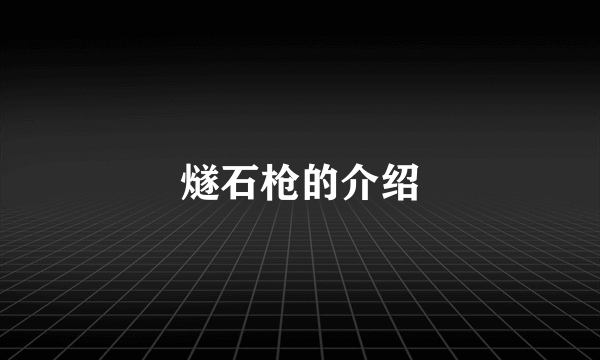 燧石枪的介绍