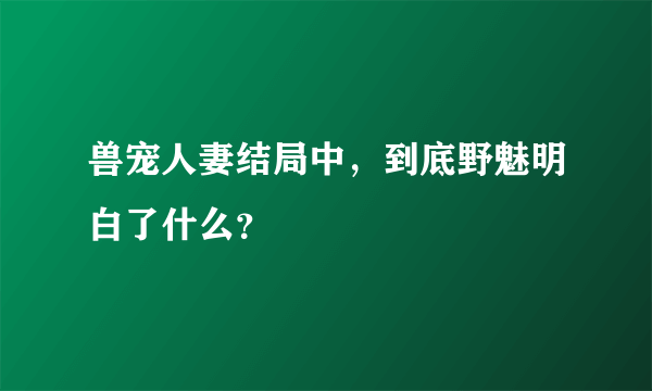 兽宠人妻结局中，到底野魅明白了什么？