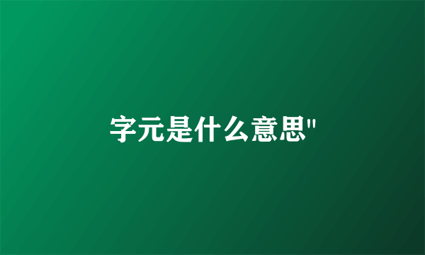 字元是什么意思