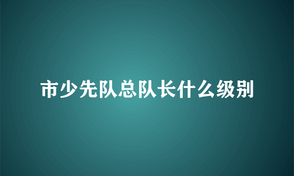 市少先队总队长什么级别