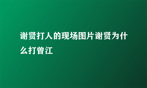 谢贤打人的现场图片谢贤为什么打曾江