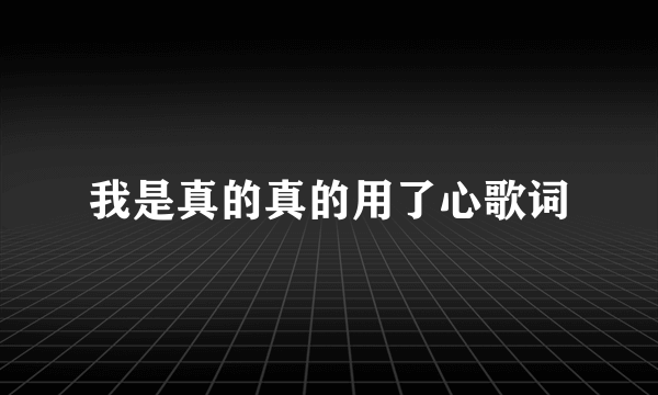 我是真的真的用了心歌词