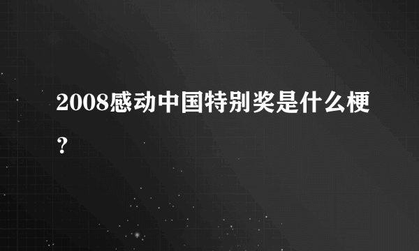 2008感动中国特别奖是什么梗？