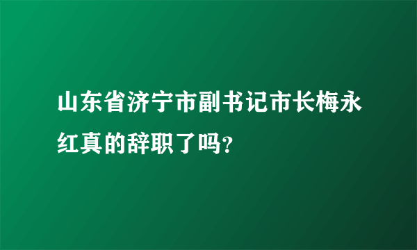 山东省济宁市副书记市长梅永红真的辞职了吗？