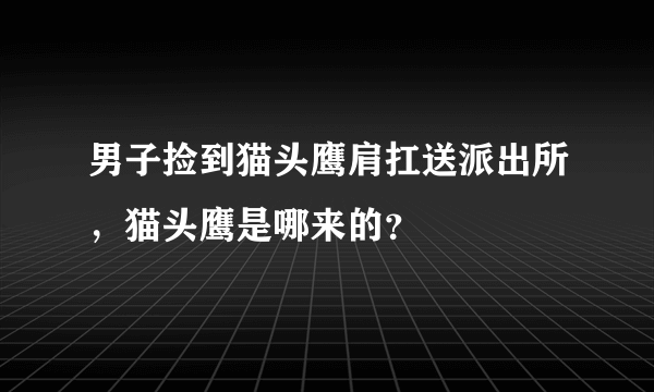 男子捡到猫头鹰肩扛送派出所，猫头鹰是哪来的？