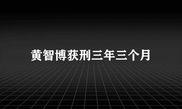 黄智博获刑三年三个月