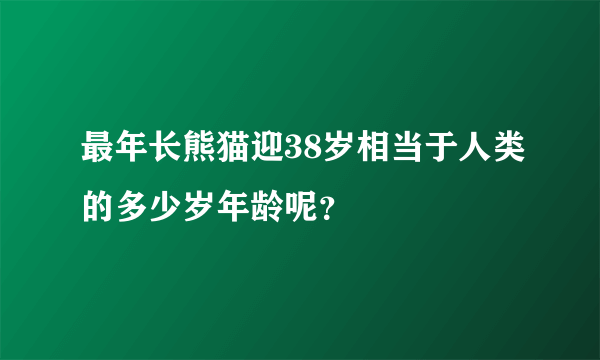 最年长熊猫迎38岁相当于人类的多少岁年龄呢？