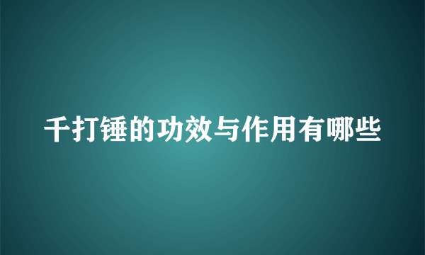 千打锤的功效与作用有哪些