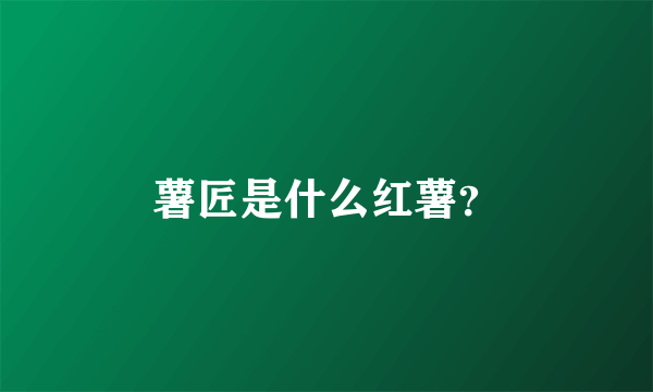 薯匠是什么红薯？