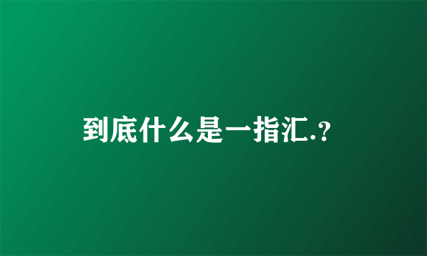 到底什么是一指汇.？