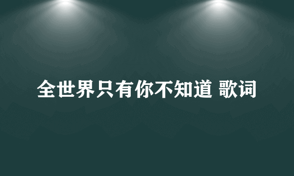 全世界只有你不知道 歌词