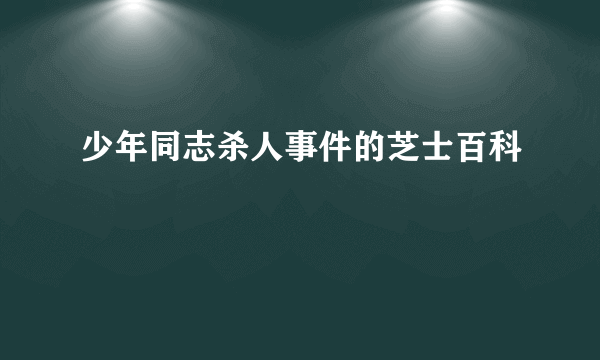 少年同志杀人事件的芝士百科