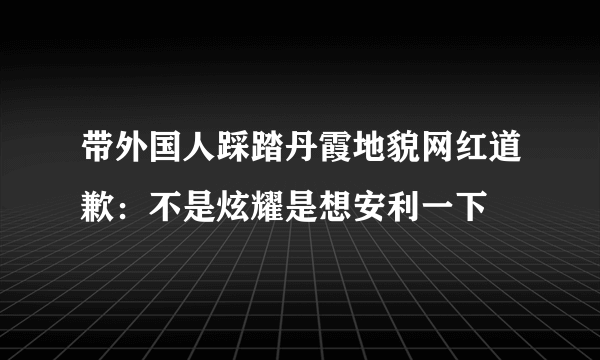 带外国人踩踏丹霞地貌网红道歉：不是炫耀是想安利一下